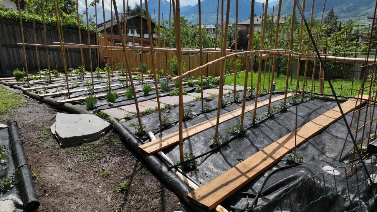 Nora S 3 - Panoramic Terrace & Bio Garden *
