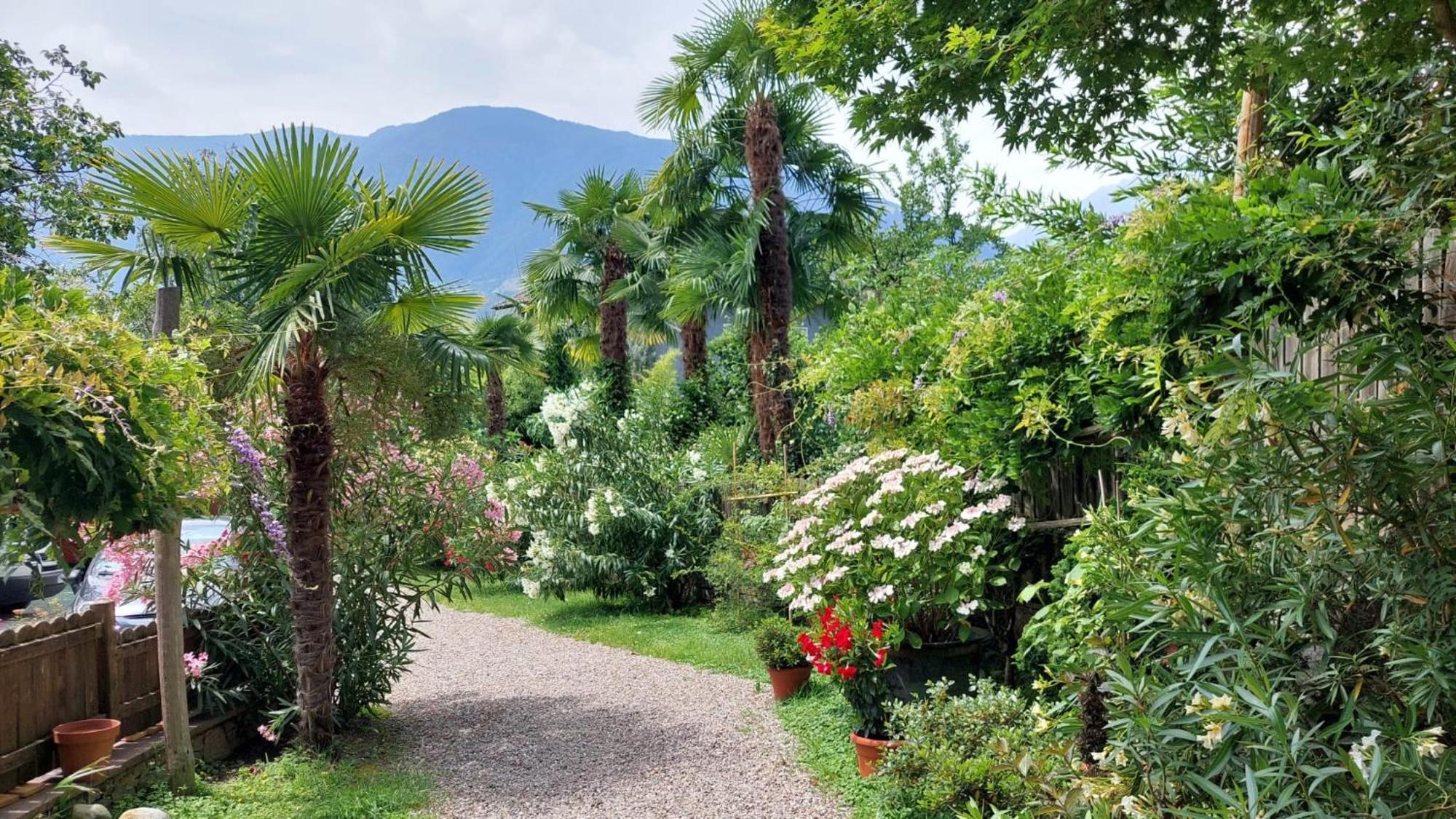 Nora S 3 - Panoramic Terrace & Bio Garden Apartment Meran